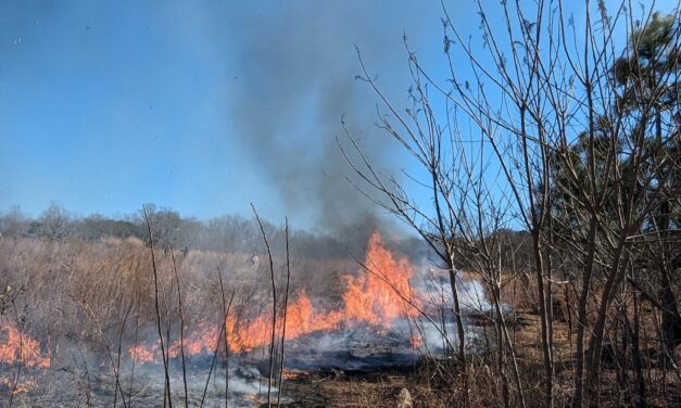 Fire! 
