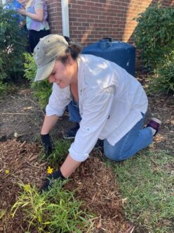 Prune, thin, or remove plants in your rain garden to avoid overcrowding and competition for resources.
