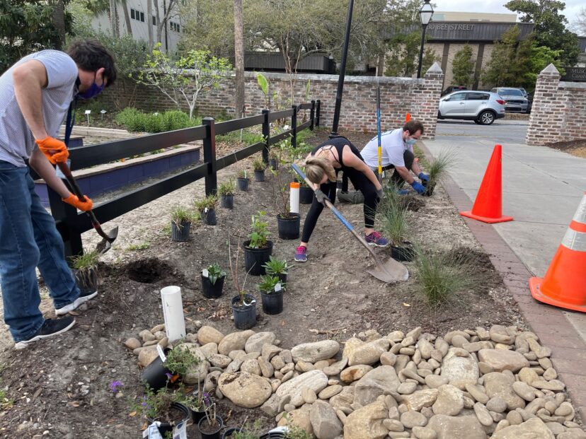 This low lying rain garden used specific plants that were well suited for the site conditions of the garden based on the principles of “right plant, right place”.
