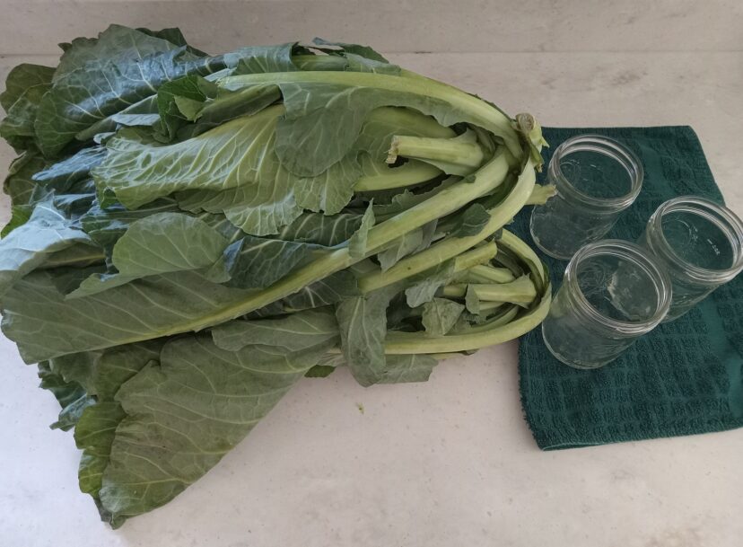 Are all these collards going to fit into three jars?