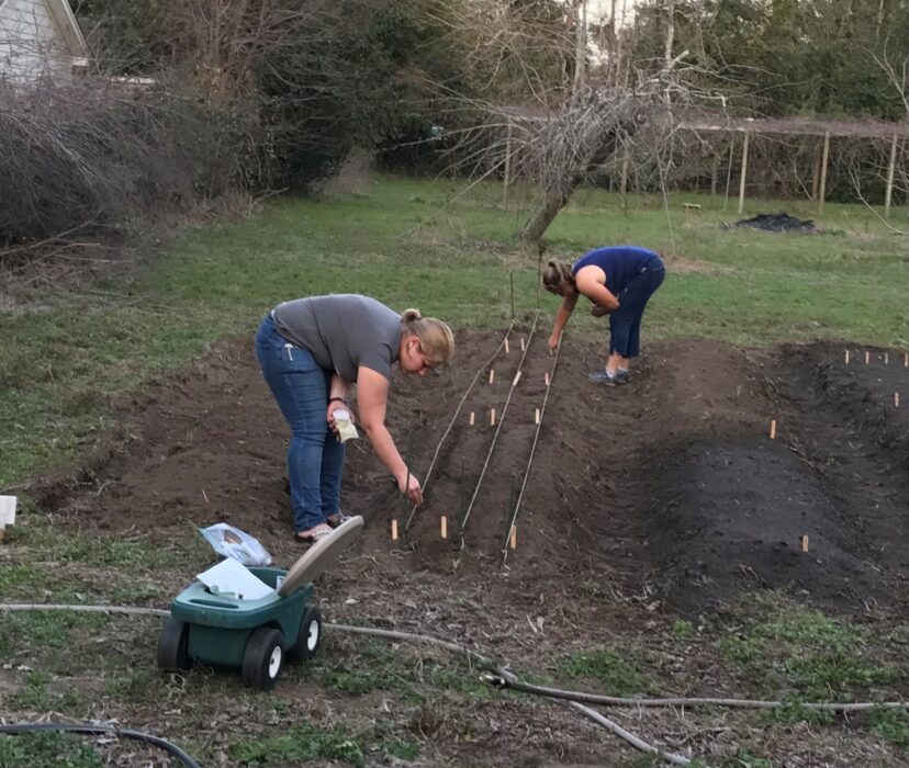 Direct seeding crops is easier if you run string line or ruler down the row to keep a straight line. It also helps to have multiple people help.