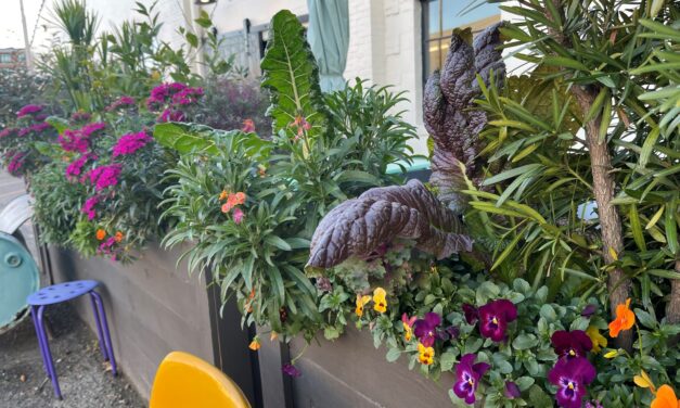 This Month in Your Garden- April 2024