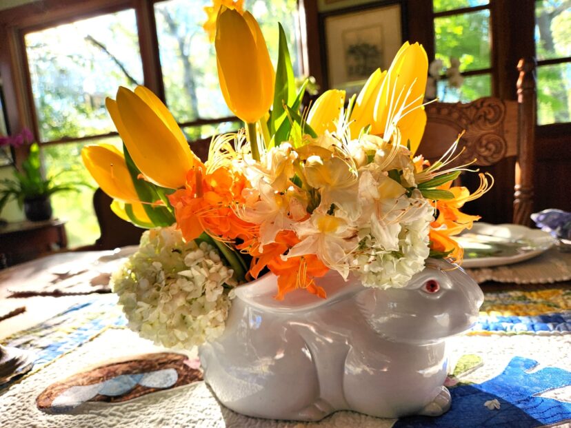 My mother’s rabbit planter is filled with flowers collected from native azaleas and Eastern Snowball Viburnum (Viburnum opulus ‘Sterile’) in my garden, with yellow tulips from the grocery store.