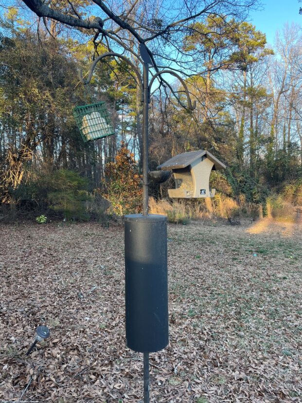 Raccoon baffle on bird feeder.