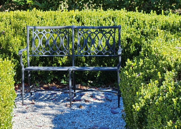 a-boxwood-hedge-defines-a-path- A boxwood hedge defines a path.