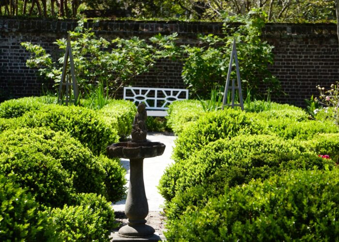 boxwood-line-a-pathway-in-a-formal-garden- Boxwood line a pathway in a formal garden.