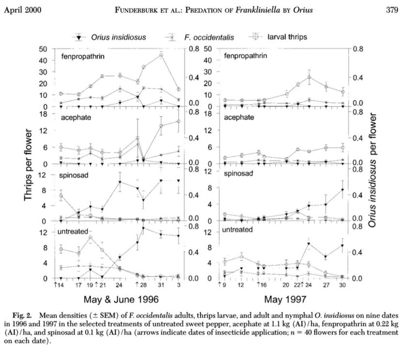 Data (Funderburk et al., 2000.) showing the importance of minute pirate bugs in Western flower thrips management. Fenpropathrin and acephate are non-selective pyrethroid and organophosphate insecticides.