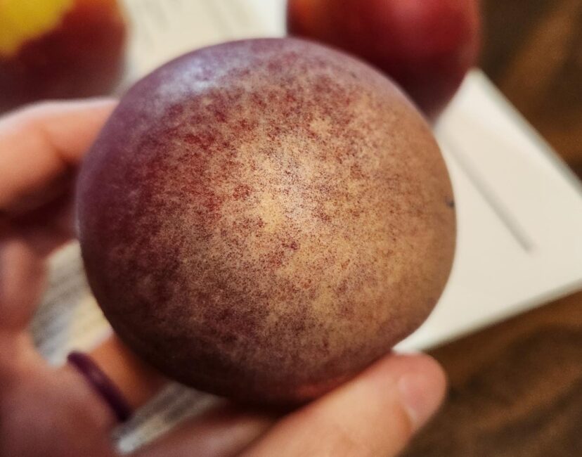 Silvering on peach skin from thrips damage. (S. Scott) 