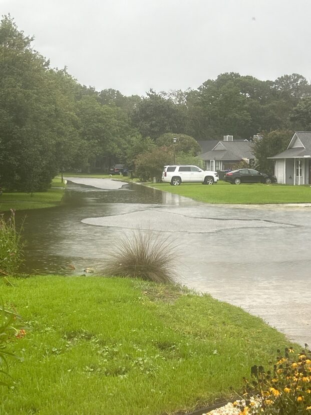 Hurricane Debby blew through South Carolina this week, leaving behind standing water, damaged trees, and other landscaping issues.