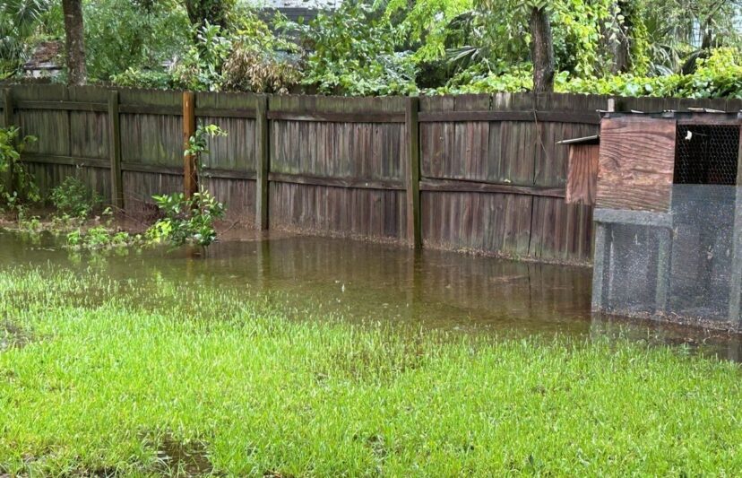 St. Augustine grass has the best salt tolerance.