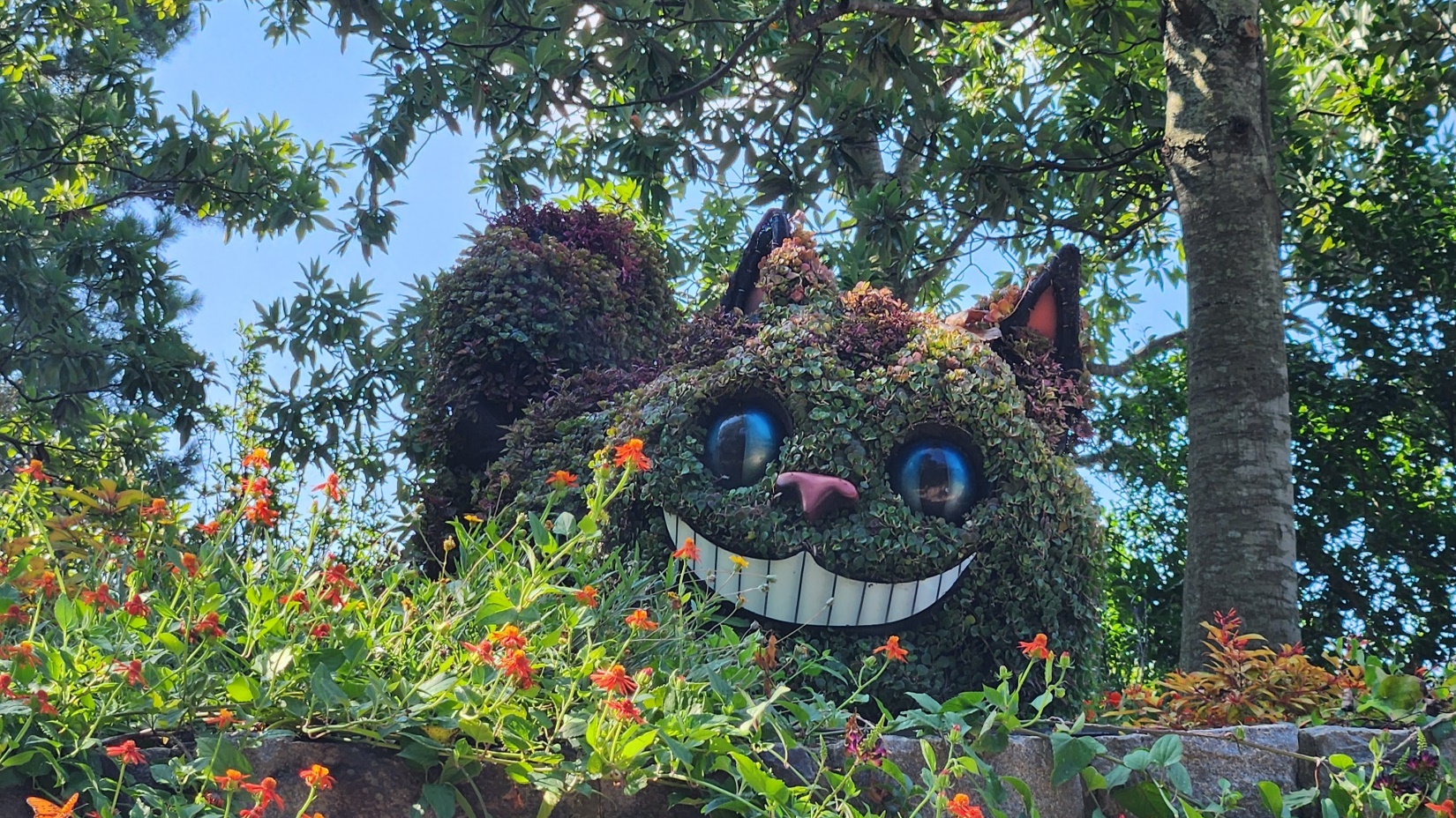 September 2 Week 1 Garden Photos | Home & Garden Information Center