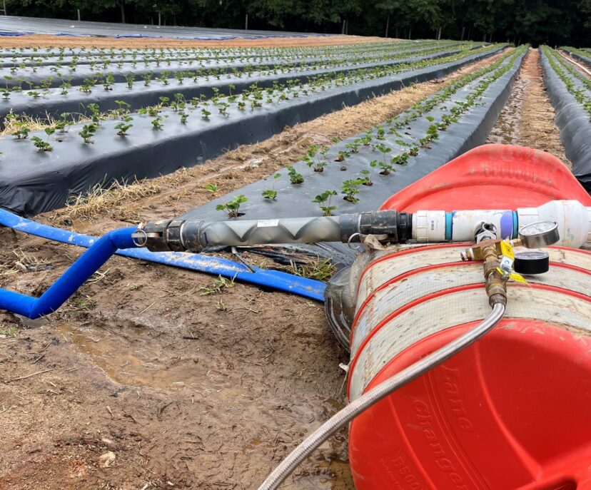 In-line fumigation going out to prep for strawberry planting.