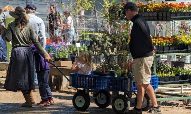 Fall 2024 South Carolina Botanical Garden Plant Sale