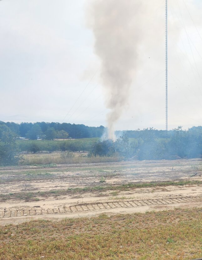 Weather conditions have been favorable for burning peach trees that have been pushed up to make way for new plantings.