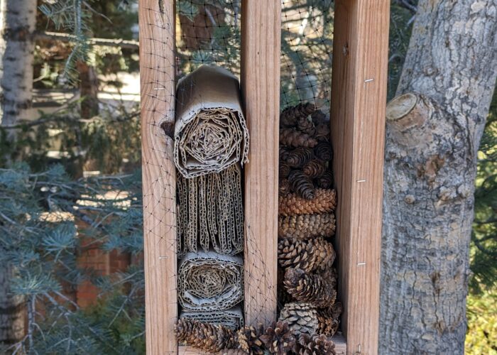 A bug hotel aims to increase biodiversity and foster a more sustainable ecosystem.