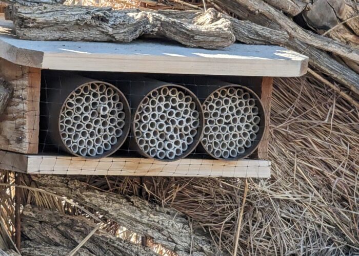 A bug hotel aims to increase biodiversity and foster a more sustainable ecosystem.