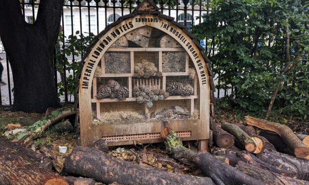 Bug Hotel