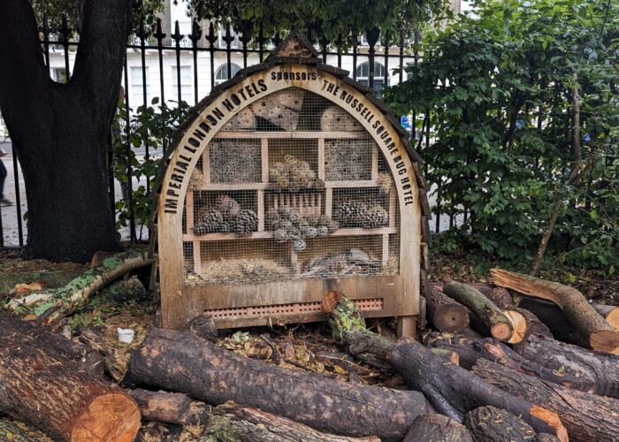 A bug hotel aims to increase biodiversity and foster a more sustainable ecosystem.
