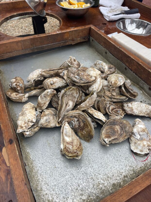 Oyster roast.
