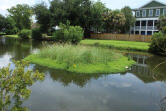 An example of a floating wetland in a residential stormwater pond.