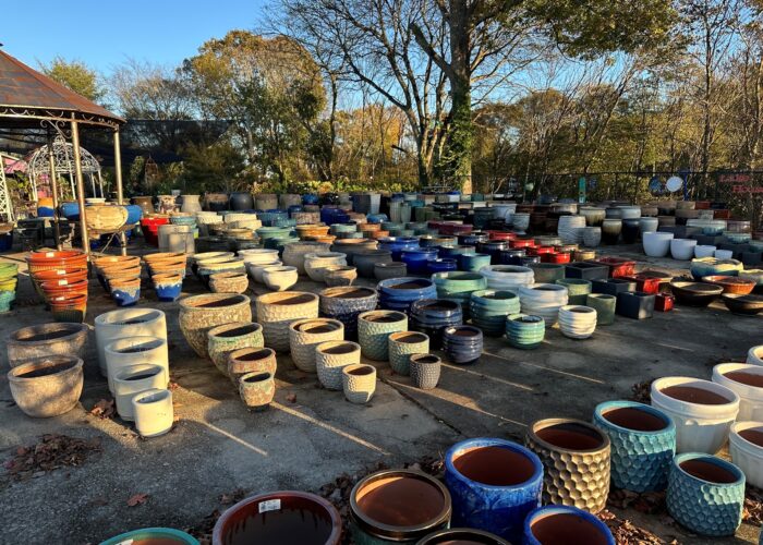 Containers are available in all shapes, sizes, and colors.