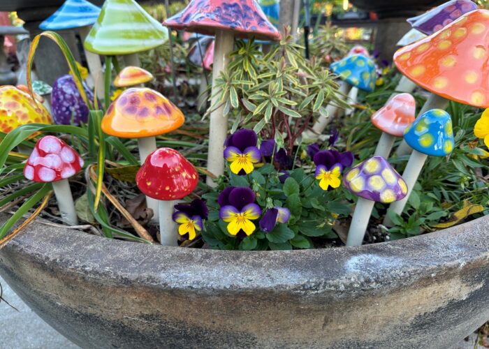 Violas create a sense of wonder.
