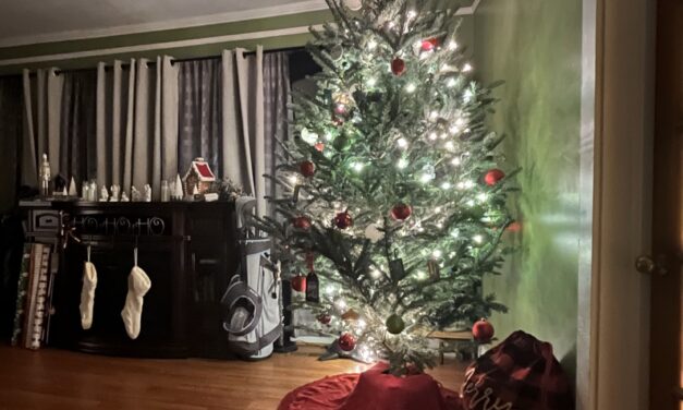 The Perfect Christmas Tree for All to See