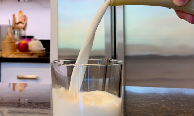 What is Raw Milk?