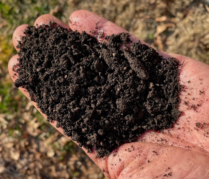 Healthy, dark-colored garden soil with an open structure due to high organic matter content.