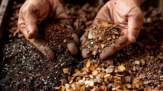 A chunky soil mix.