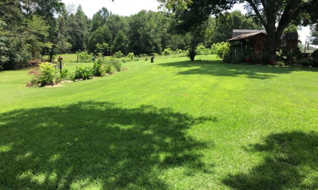 Preemergence Herbicides: A Proactive Approach to Weed Control