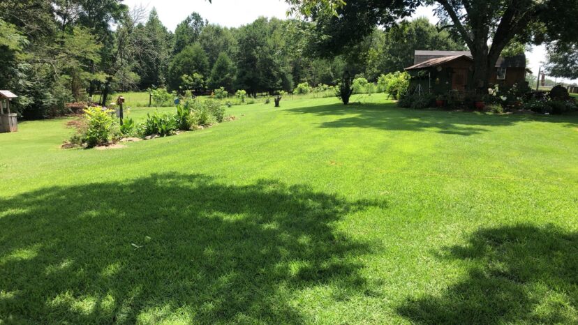 A lawn with a house and trees