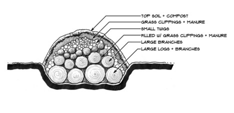Hügelkultur gardening diagram demonstrates how to layer materials for gardening rows. 