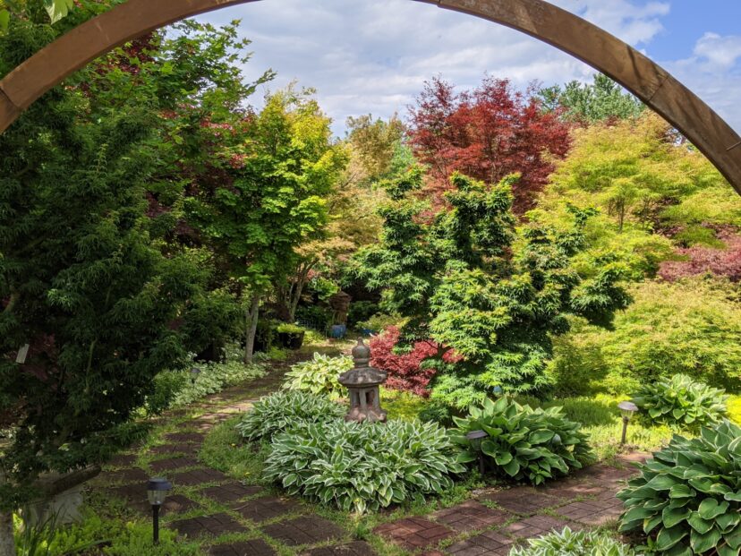 Maplewood Garden is filled with plants that thrive in shade.