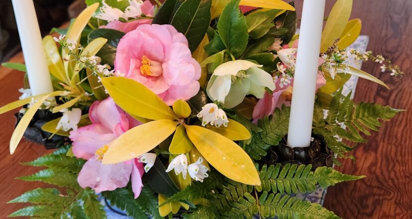 The bell-shaped flowers provide a different texture and shape in a mixed arrangement.