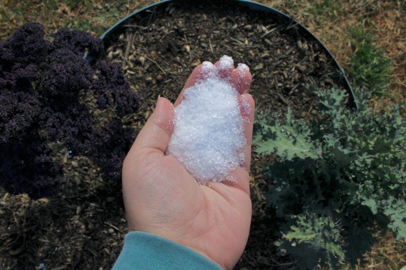 A handful of plain Epsom salt, magnesium sulfate. 