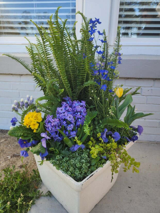 A potted plant with different flowers AI-generated content may be incorrect.