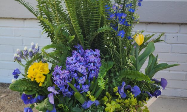 This Month in Your Garden – April 2025