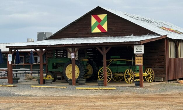 Grower Spotlight – Bush-N-Vine