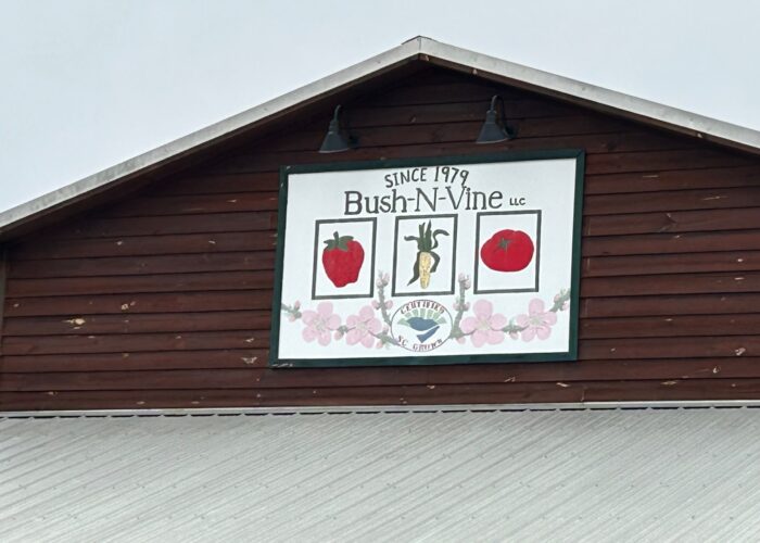 Visit Bush-N-Vine’s retail store to see everything they have to offer!