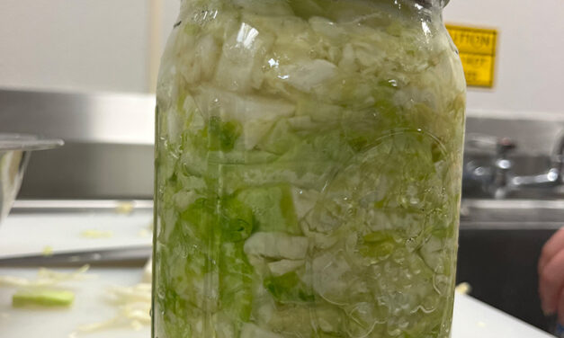 Want to Ferment Vegetables? Start with Sauerkraut