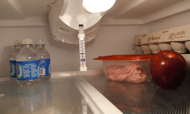 Safely Storing Food