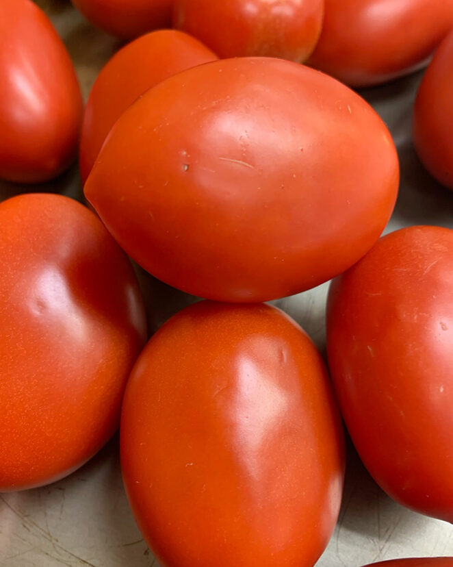 a bunch of tomatoes