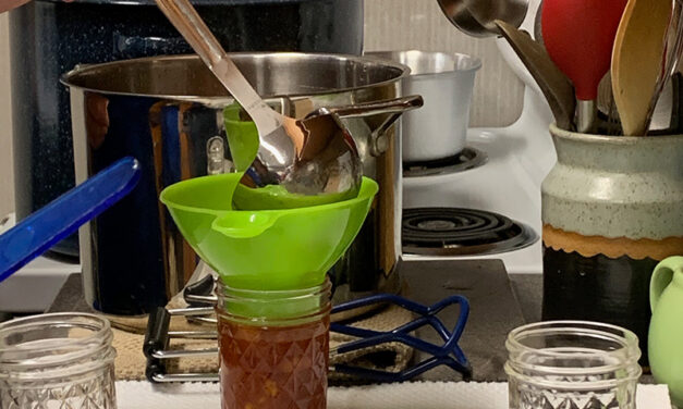 Why Foods Need to be Preserved?