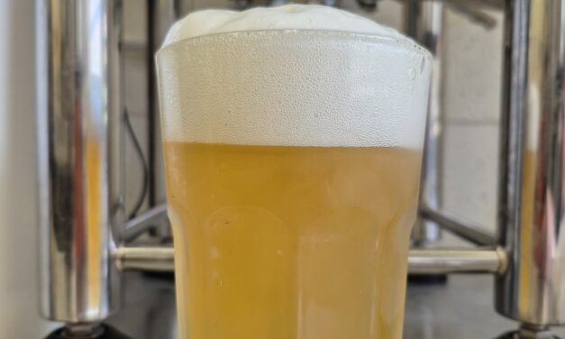 Beer Style Highlight: Belgian Witbier
