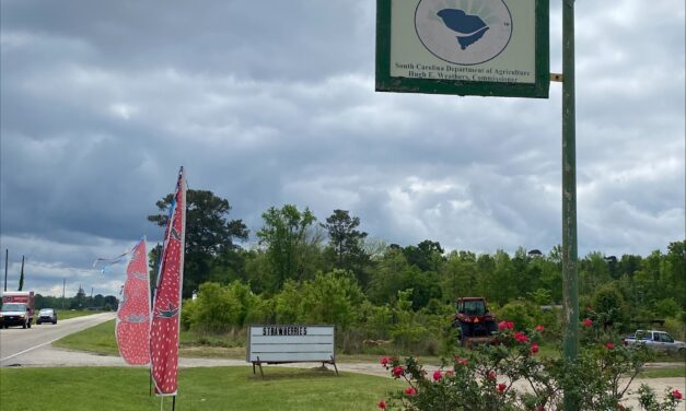 Grower Spotlight – Atkinson Farms