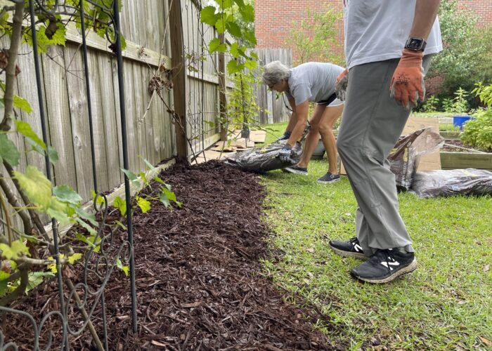 Mulch