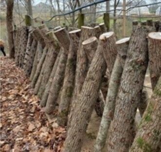 Stacked logs in an A-Form. Notice the drip line running above the logs to allow for supplemental watering.