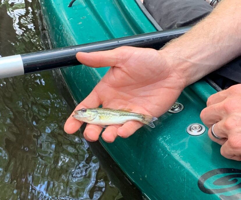 Don’t worry, there are bigger ones.