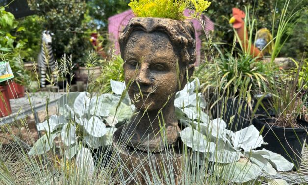 This Month in Your Garden- June 2025